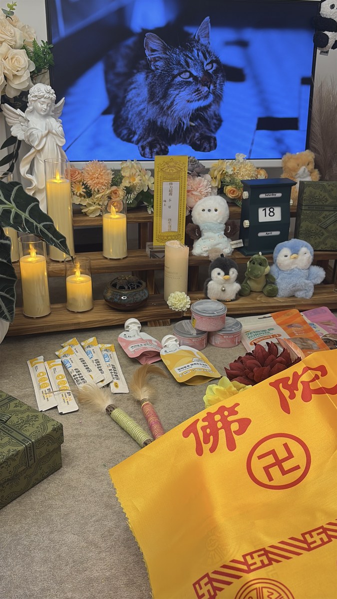 成都宠物殡葬服务实拍