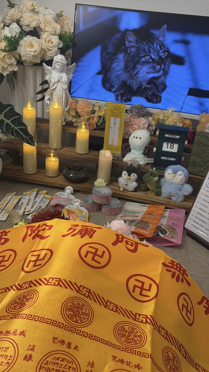 成都宠物殡葬服务实拍