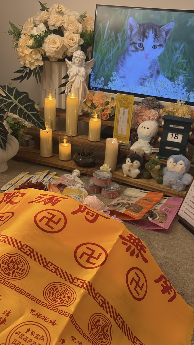 成都宠物殡葬服务实拍