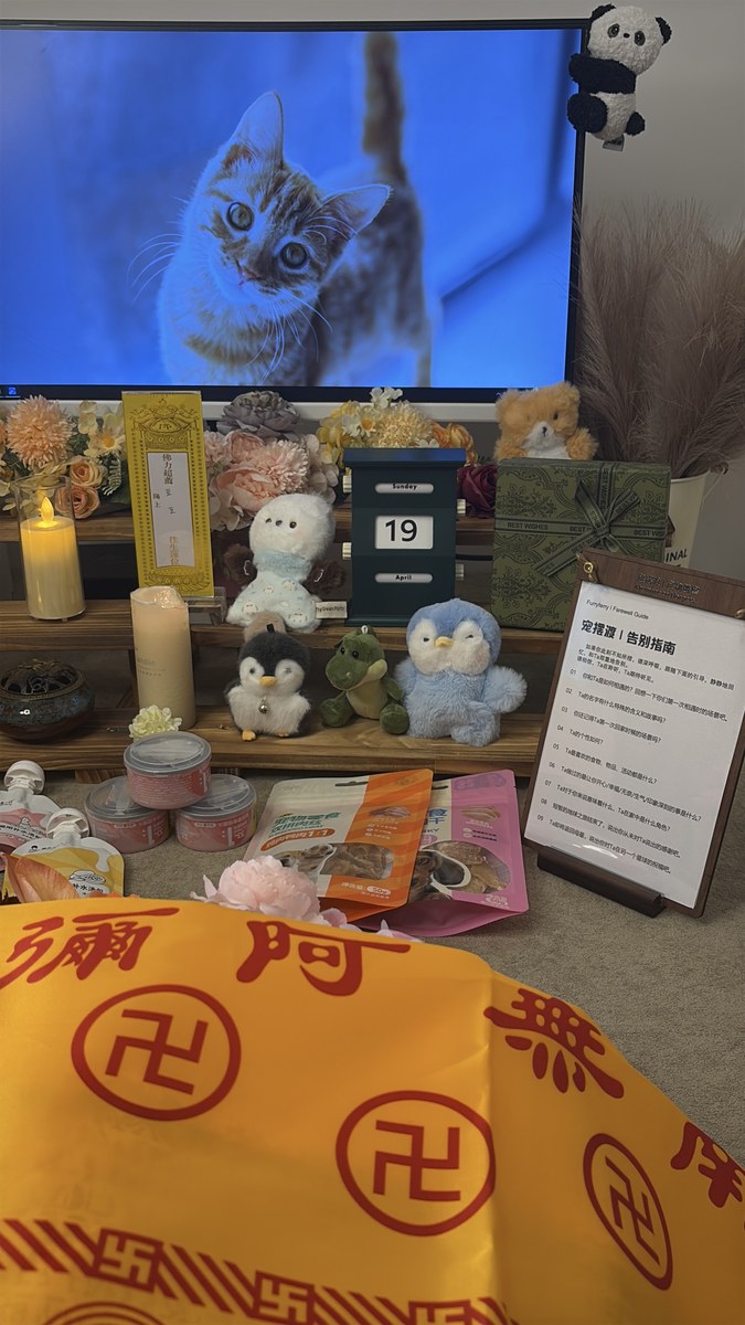 成都宠物殡葬服务实拍