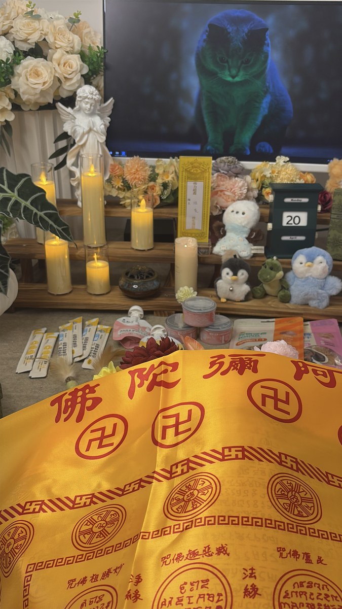成都宠物临终关怀怎么做？关于安乐，你需要知道这些（第2辑）