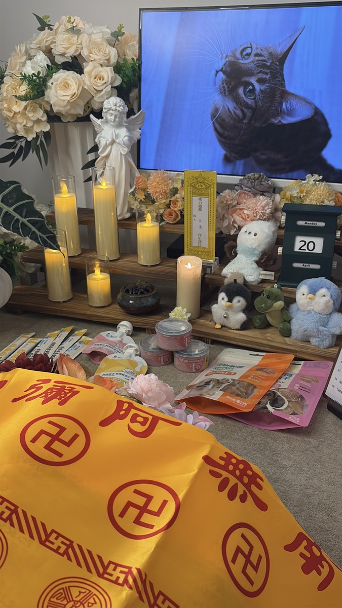 成都宠物殡葬服务实拍