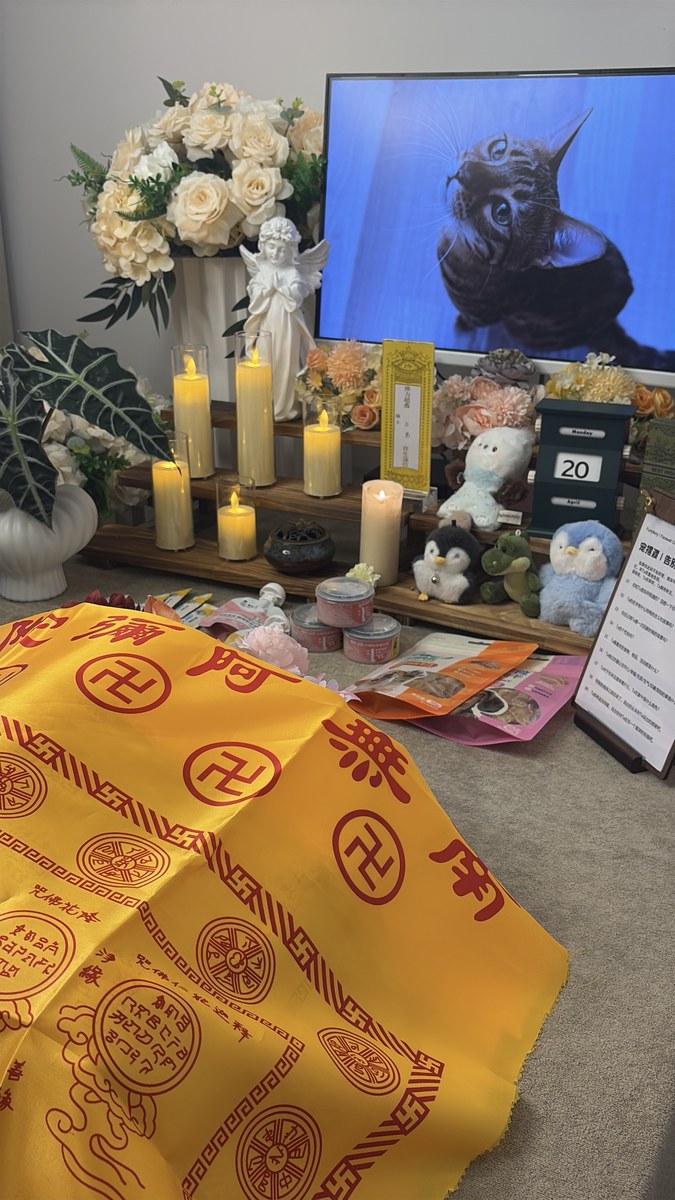 成都宠物殡葬多少钱？费用构成逐项拆解，不看糊涂账（第2辑）