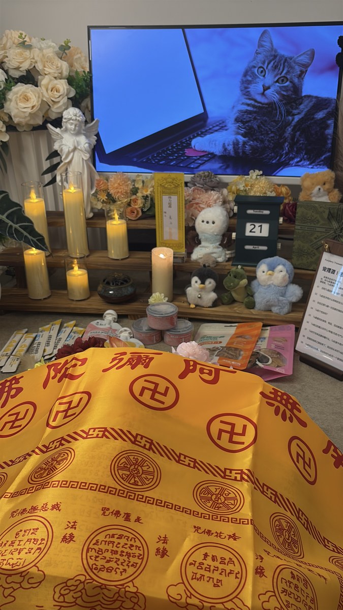 成都宠物殡葬服务实拍