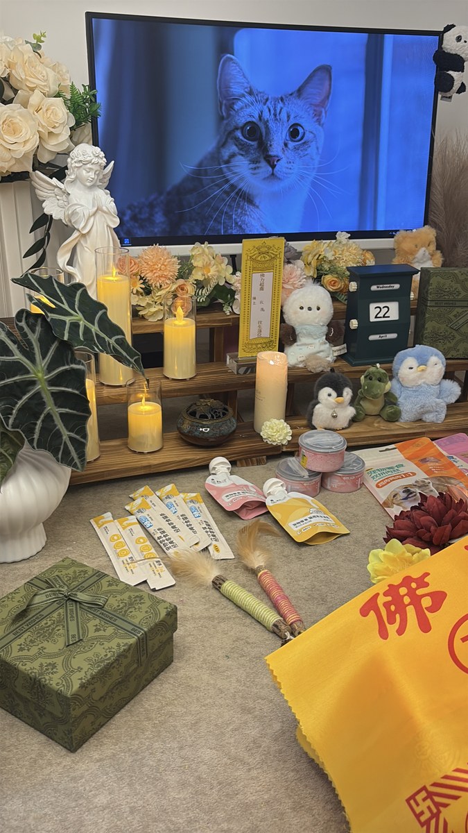 成都宠物火化后骨灰如何安葬？合规方式与本地建议（第21辑）