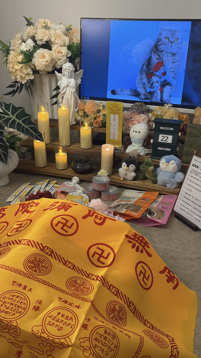 成都宠物殡葬服务实拍