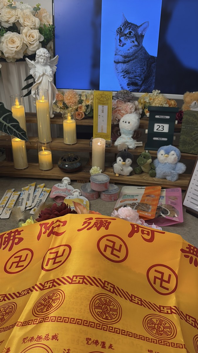 成都宠物殡葬服务实拍