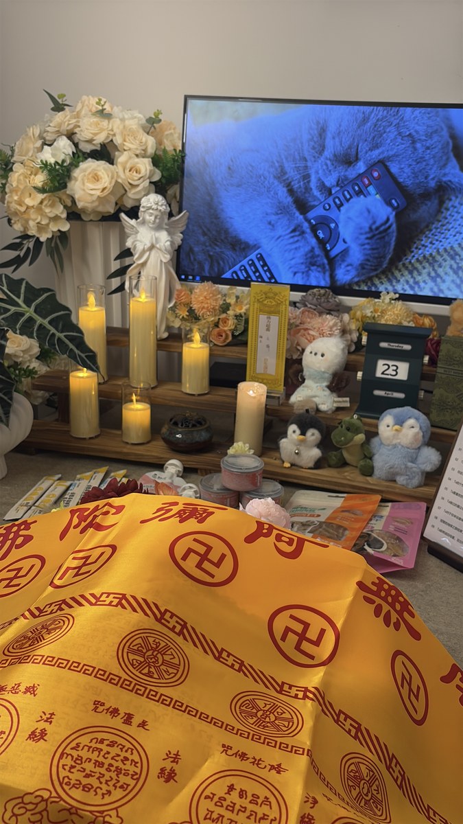 成都宠物殡葬服务实拍