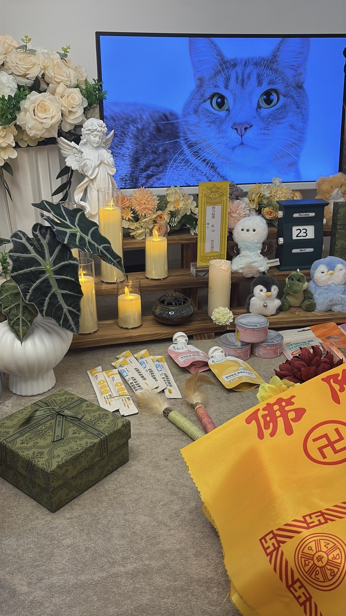 成都宠物殡葬服务实拍