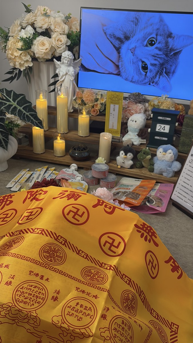 成都宠物殡葬服务实拍