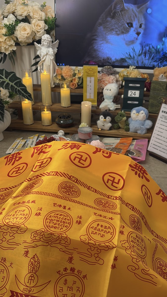 成都宠物殡葬服务实拍