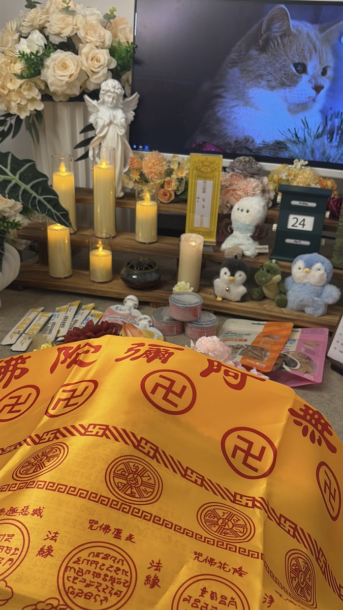 成都宠物殡葬服务实拍