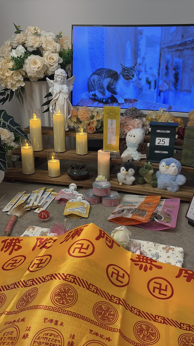成都宠物殡葬服务实拍