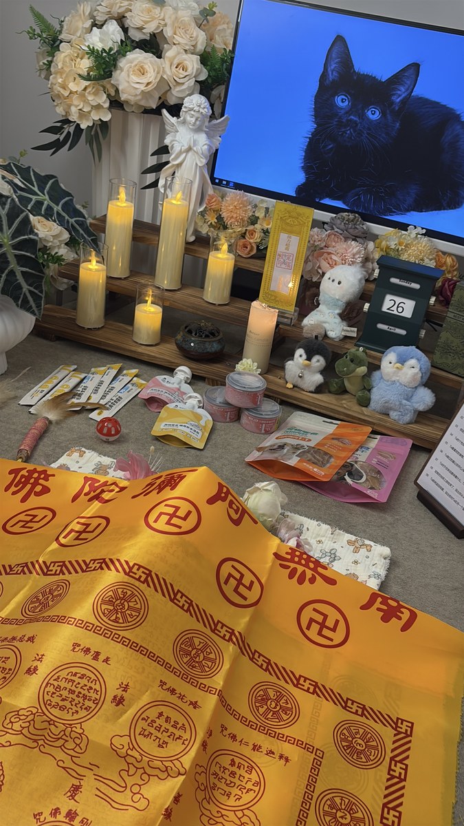 成都宠物殡葬服务实拍