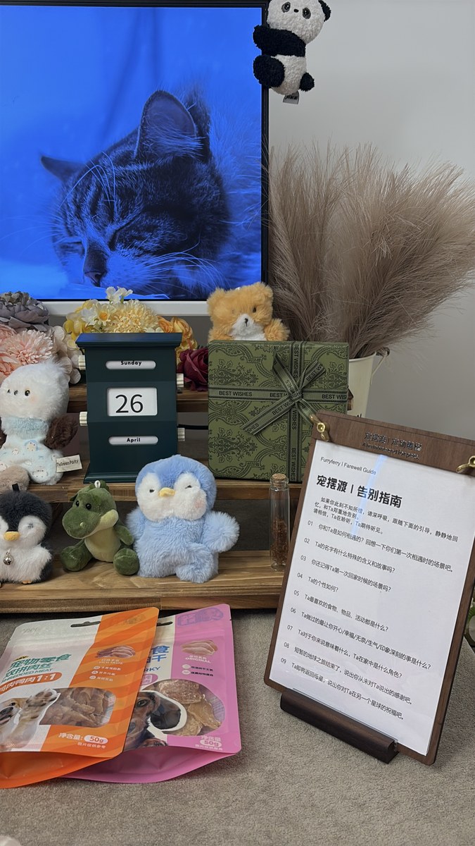 成都宠物殡葬服务实拍
