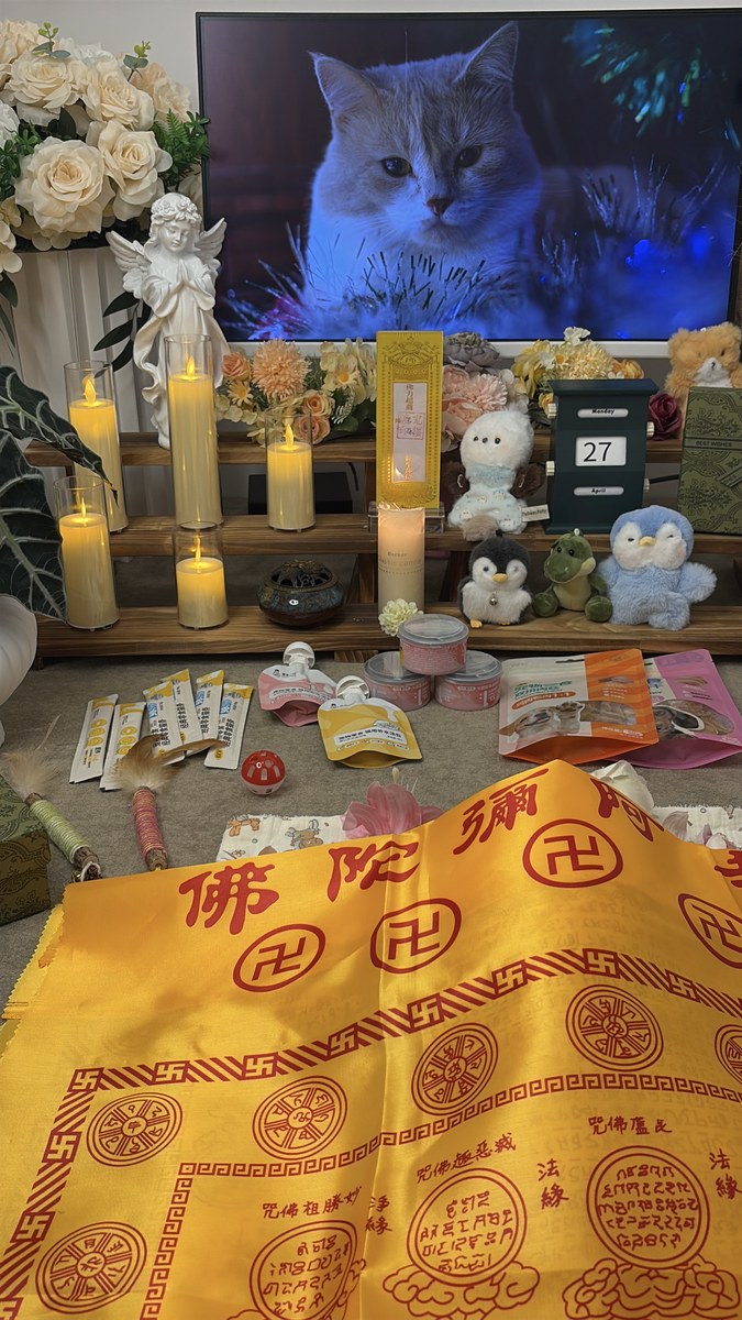 宠物殡葬费用怎么算？成都本地真实价格区间说明（第19辑）