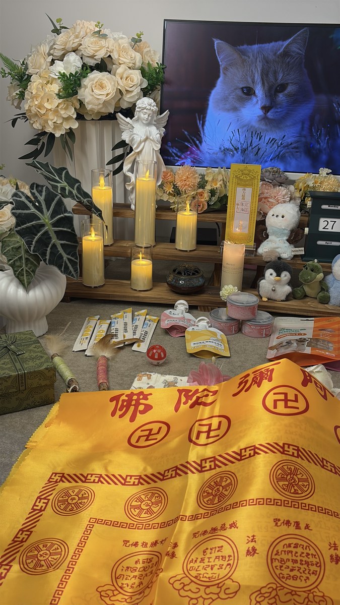 成都宠物殡葬服务实拍