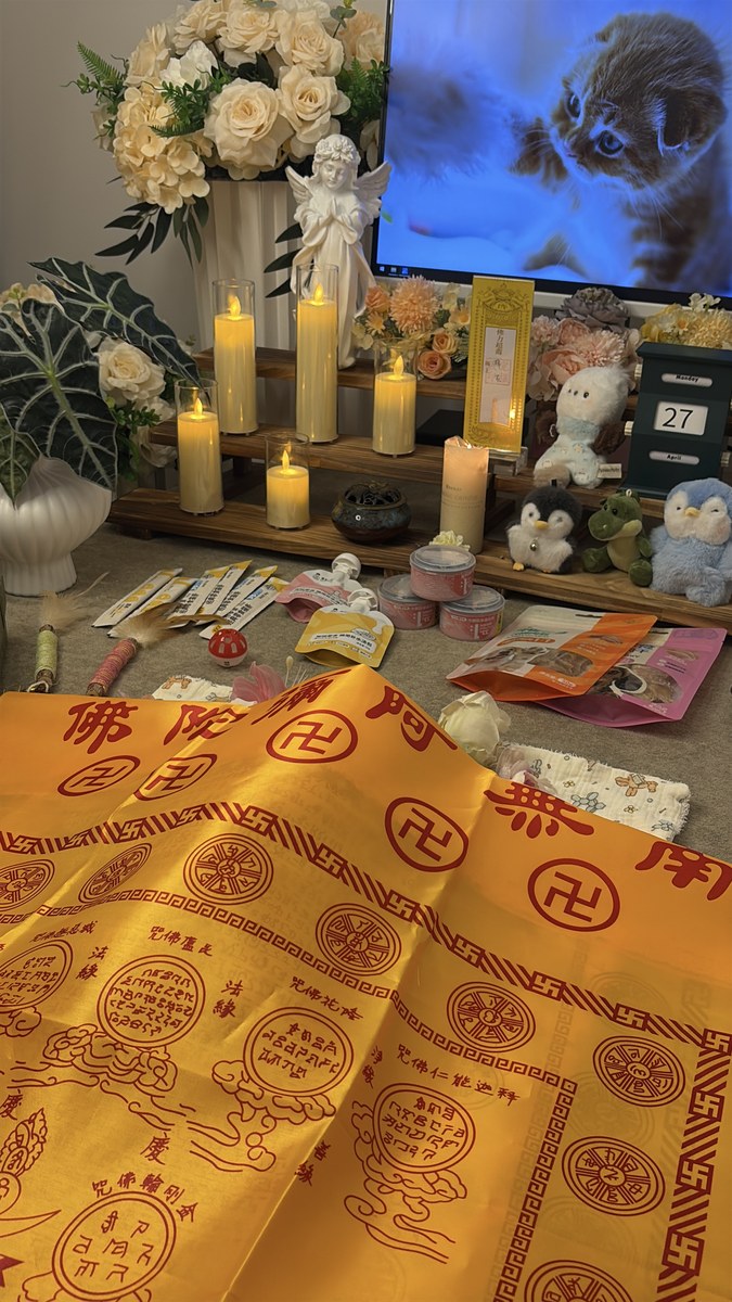 成都宠物殡葬服务实拍