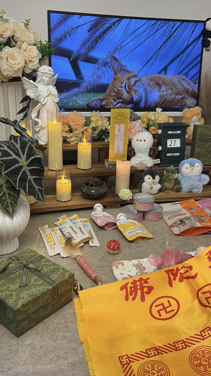 成都宠物殡葬服务实拍