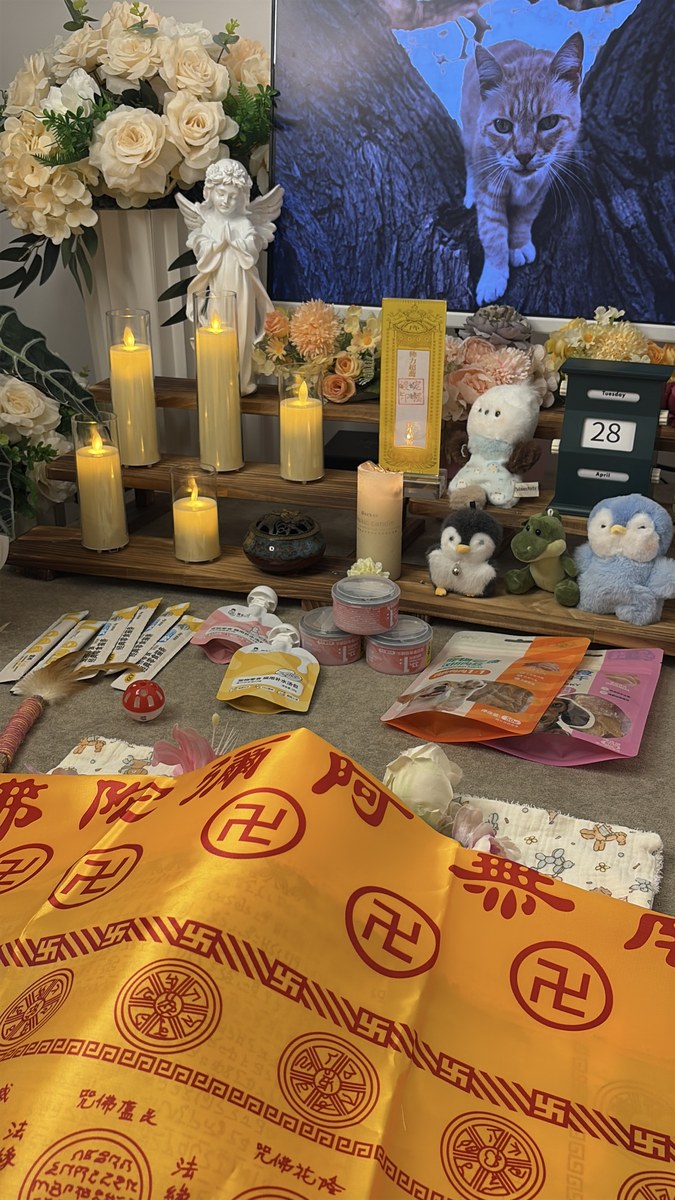 成都宠物殡葬服务实拍