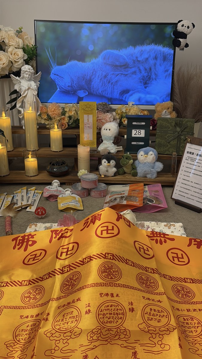 成都宠物殡葬服务实拍