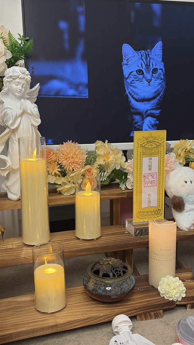 成都宠物殡葬服务实拍