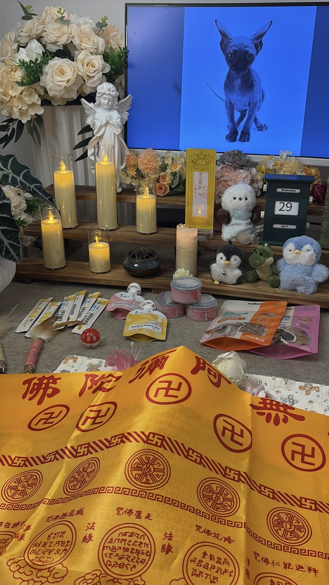 成都宠物殡葬服务实拍