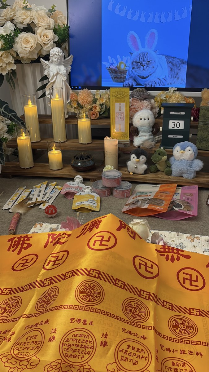 成都宠物火化需要准备什么？费用构成与注意事项全解析（第6辑）