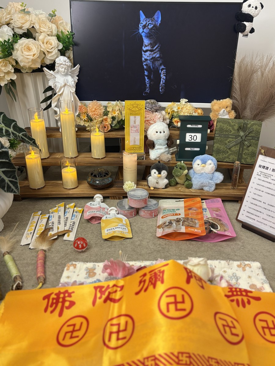 成都宠物殡葬服务实拍