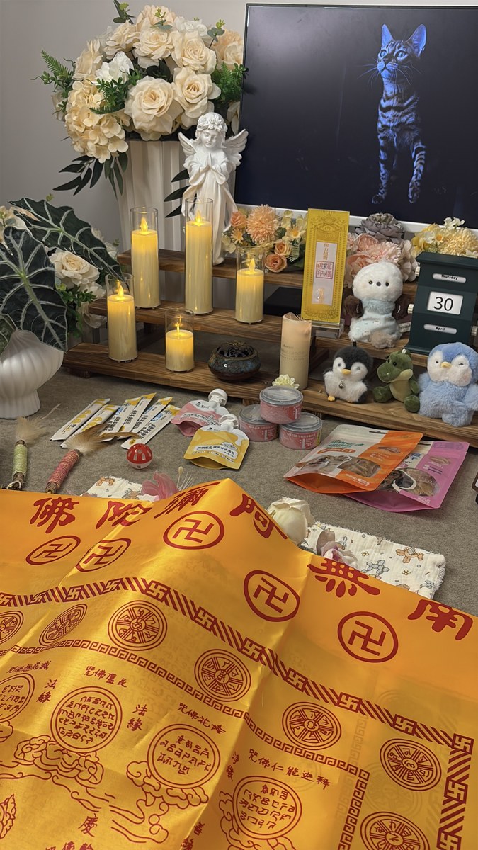 成都宠物殡葬服务实拍
