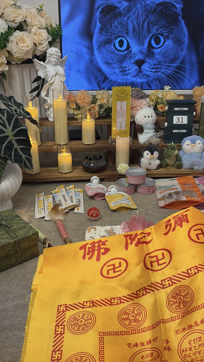 成都宠物殡葬服务实拍