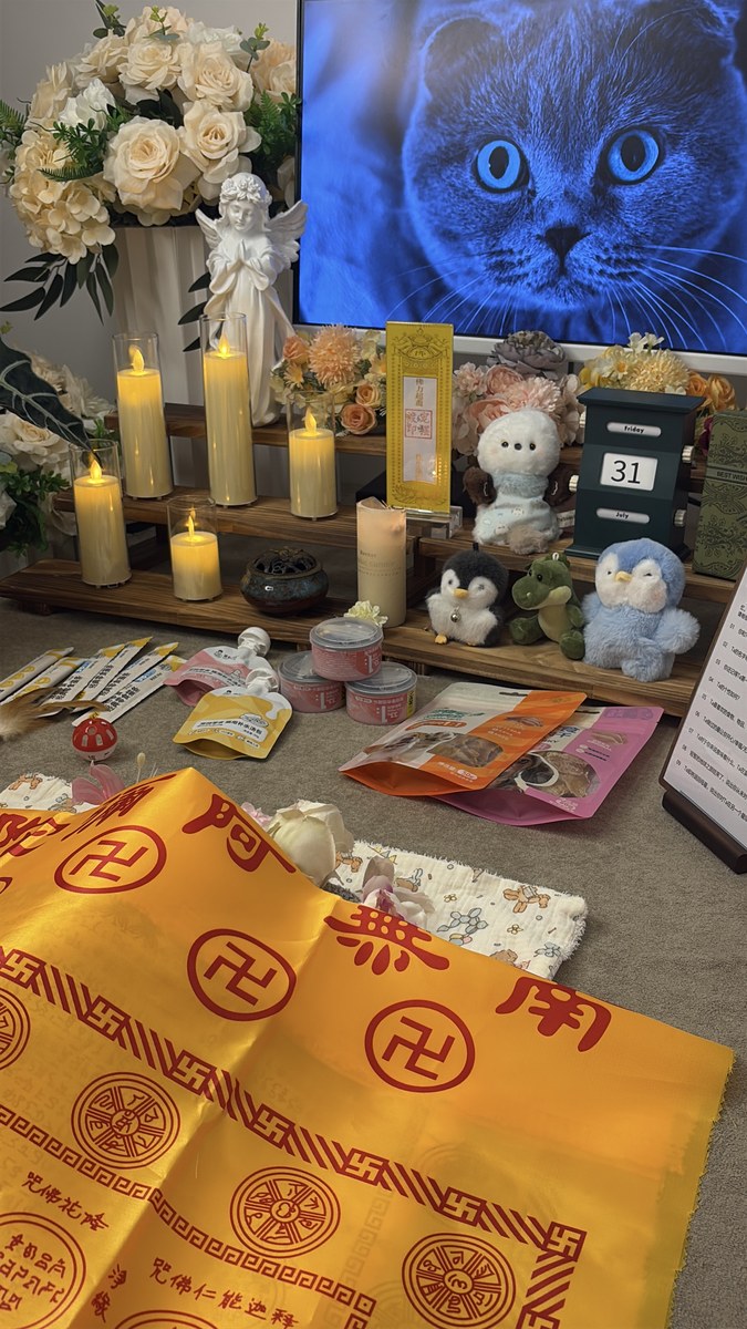 成都宠物殡葬服务实拍
