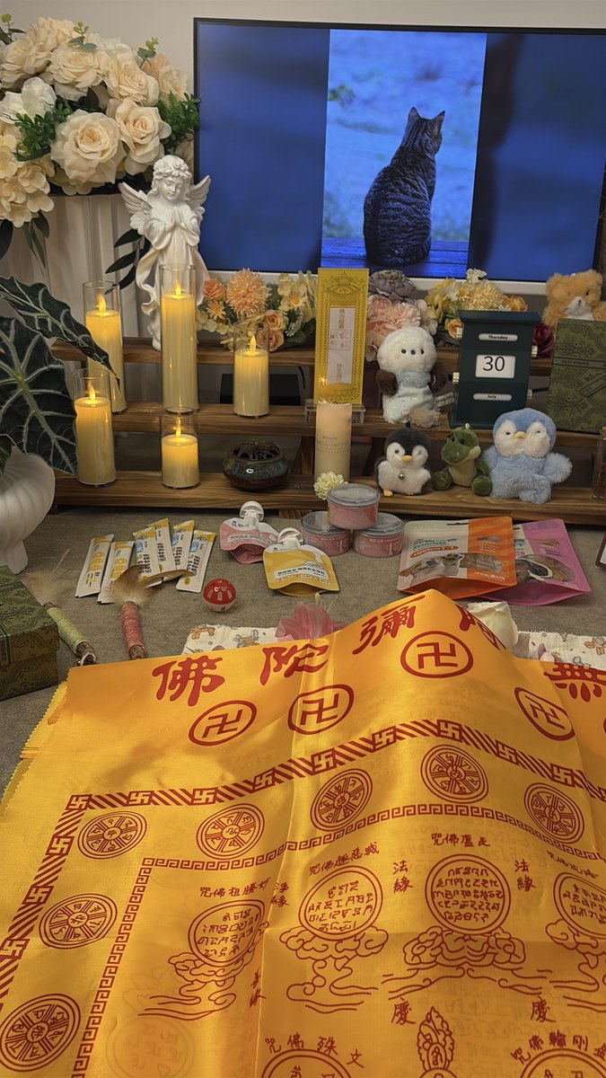 成都夜间宠物殡葬服务：凌晨的电话也能有人接（第26辑）