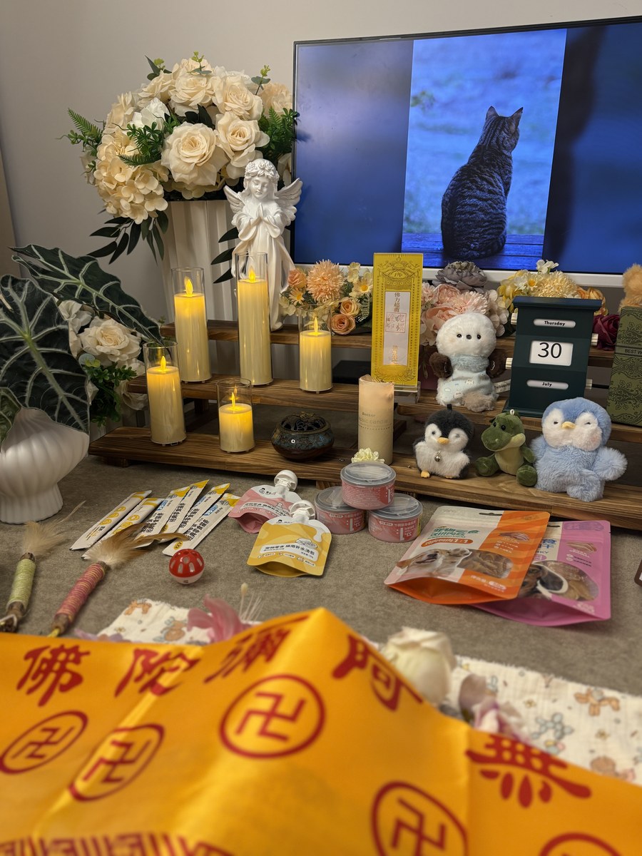 成都宠物殡葬服务实拍