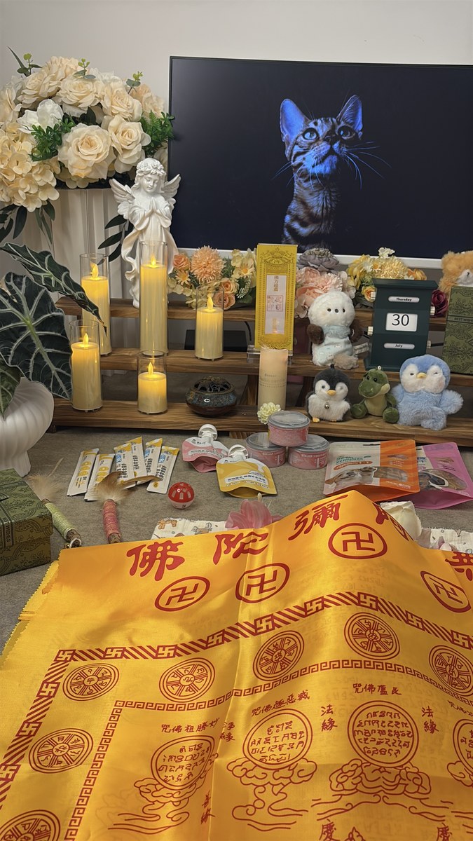 成都宠物殡葬服务实拍