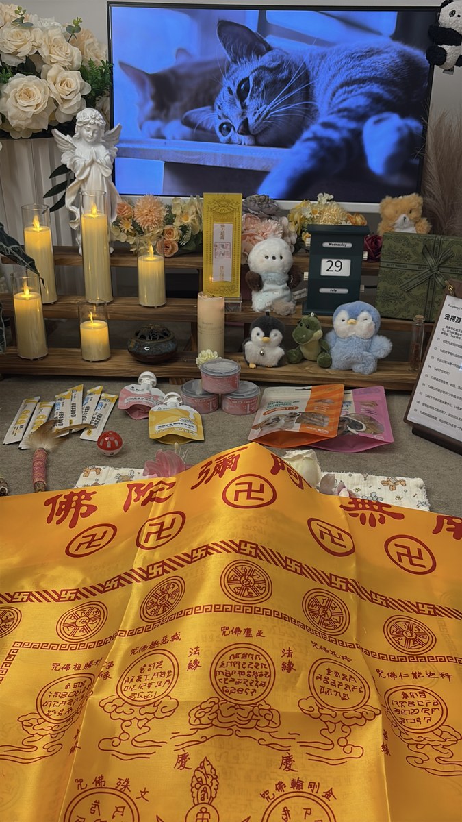 成都宠物殡葬服务实拍
