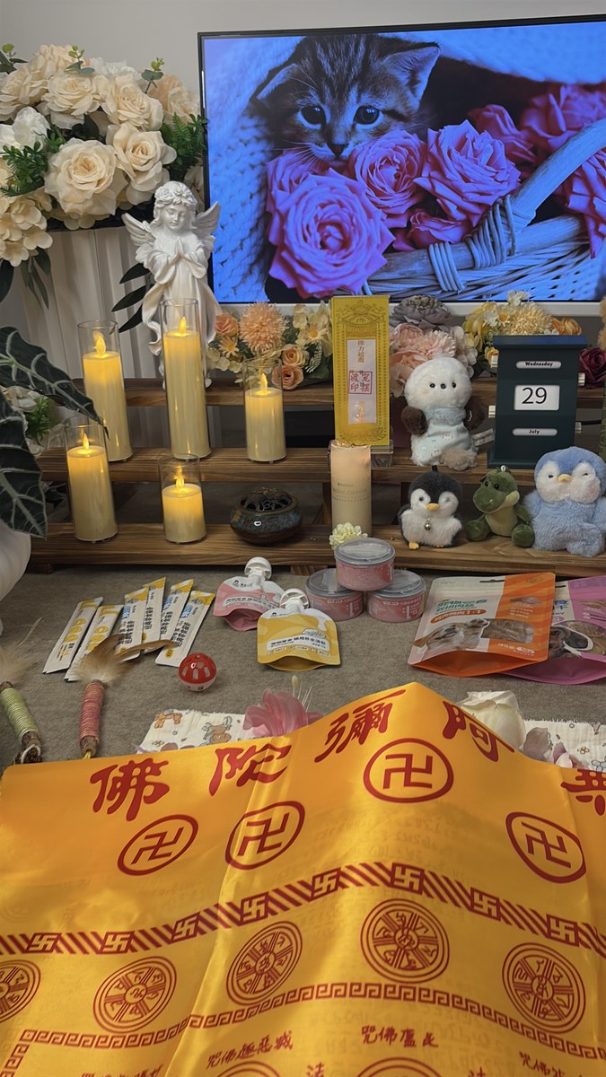 成都宠物殡葬服务实拍