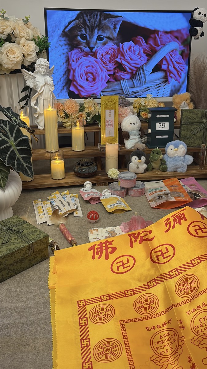 成都宠物殡葬如何避免被坑：选机构的七个判断标准（第26辑）