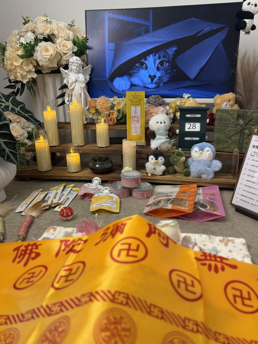成都宠物殡葬服务实拍