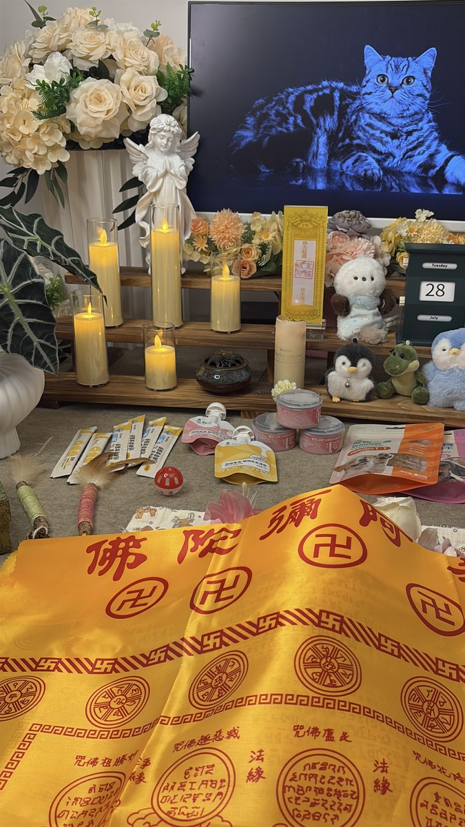 成都宠物殡葬服务实拍