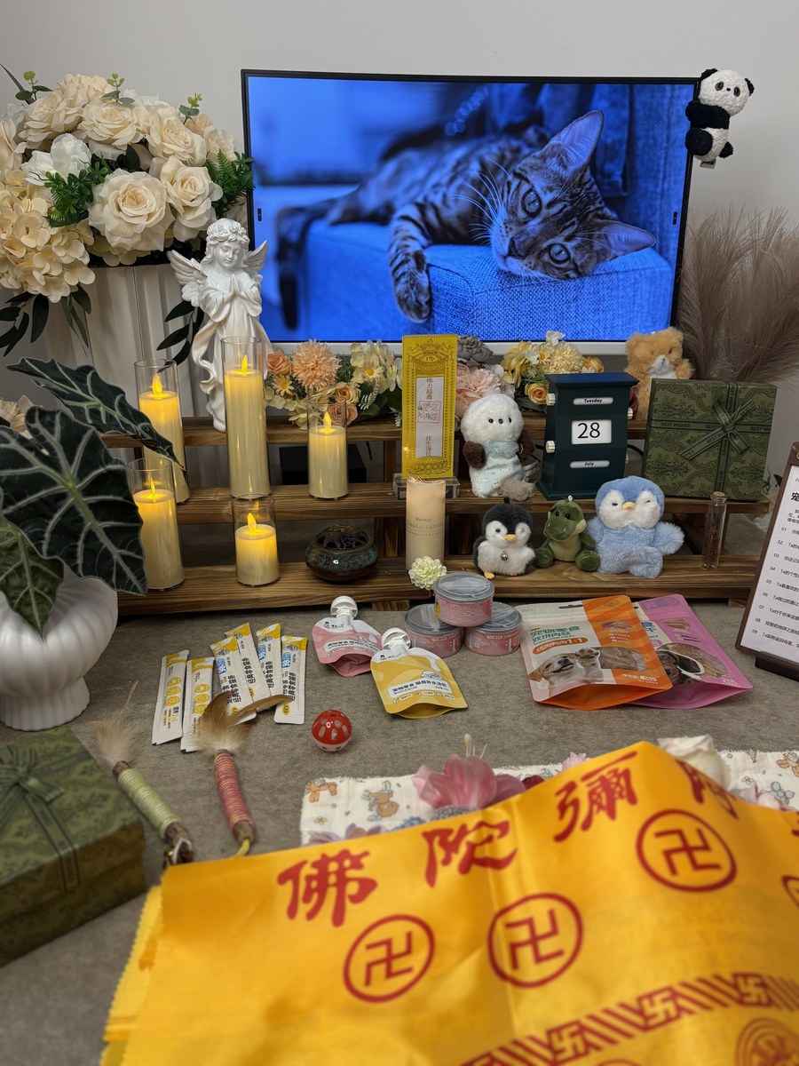 宠物火化还是土葬？成都本地合规与可行性分析（第7辑）