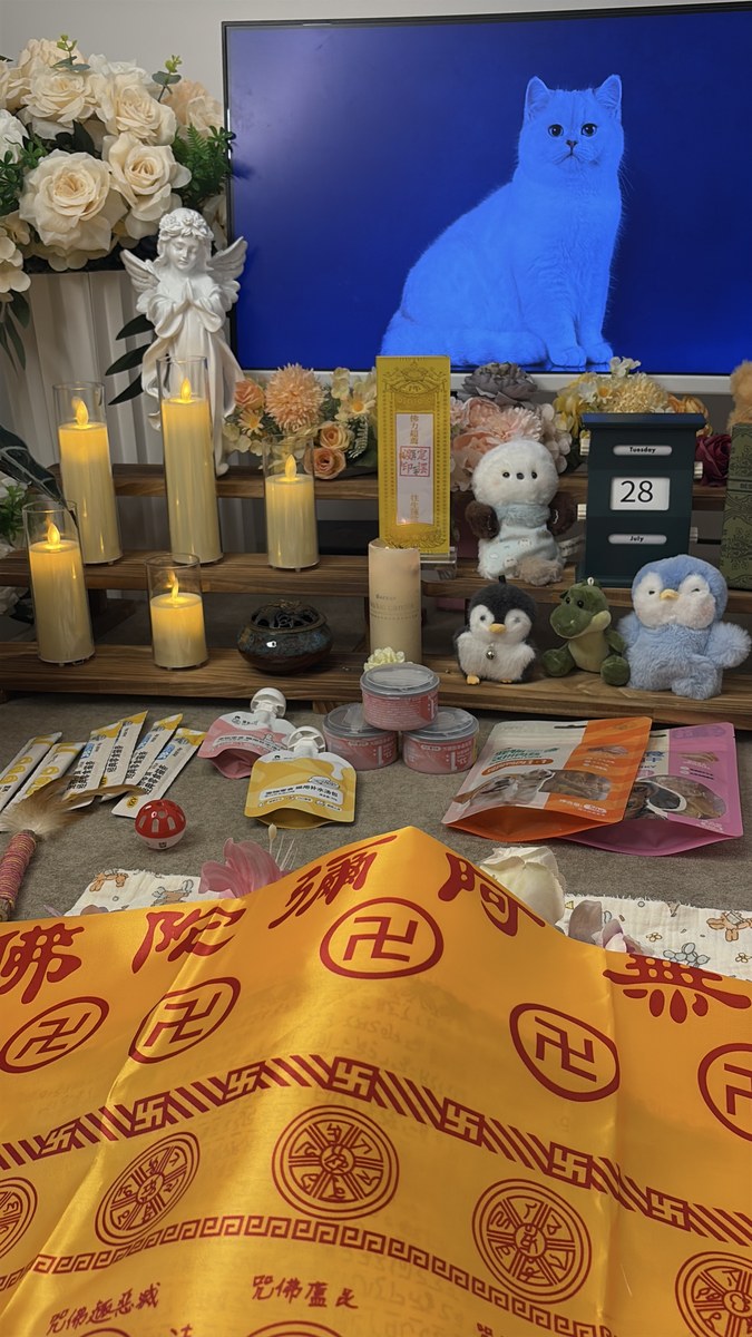 成都宠物殡葬服务实拍