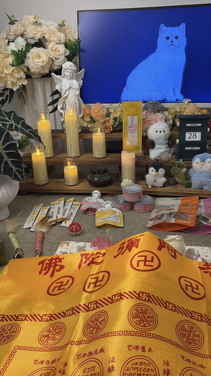 成都老年人宠物离世怎么办？陪伴父母面对这一关（第26辑）