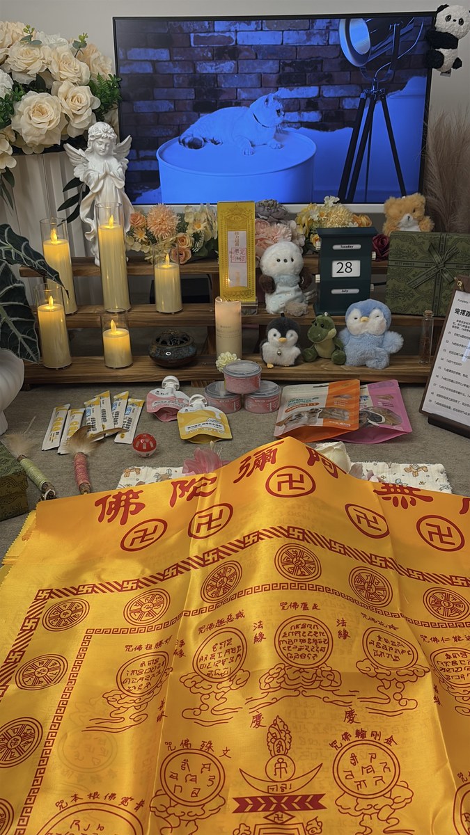 成都宠物殡葬服务实拍
