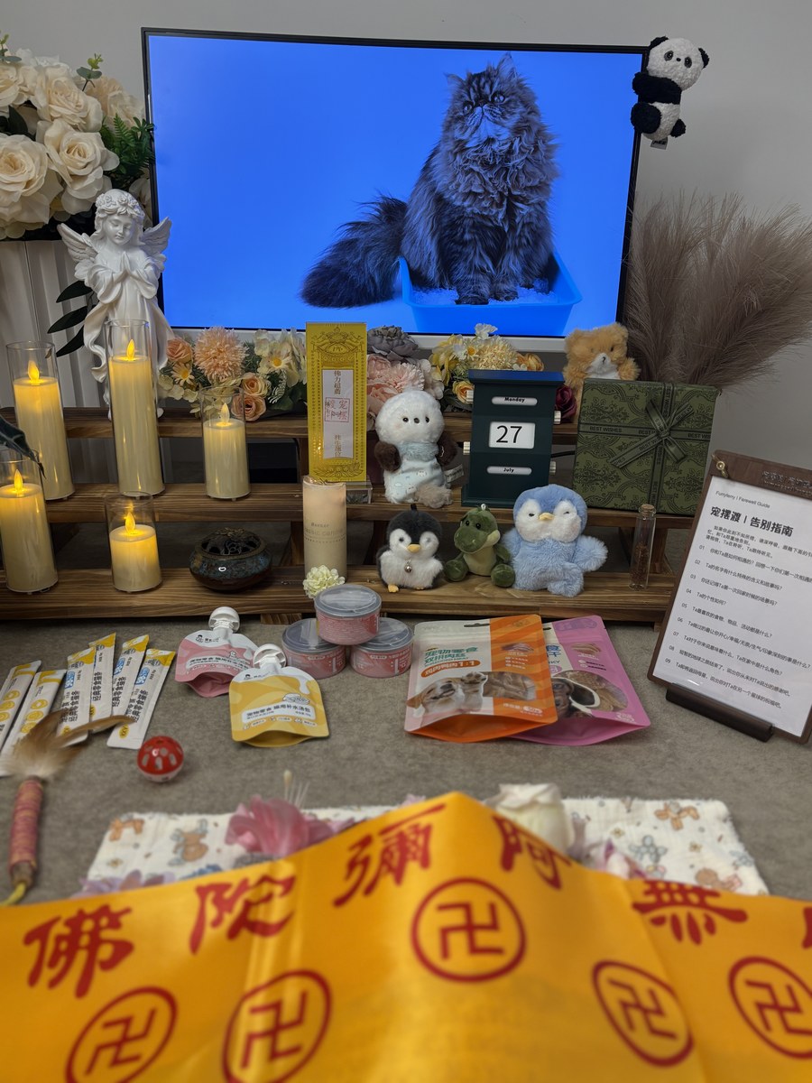 成都宠物殡葬服务实拍