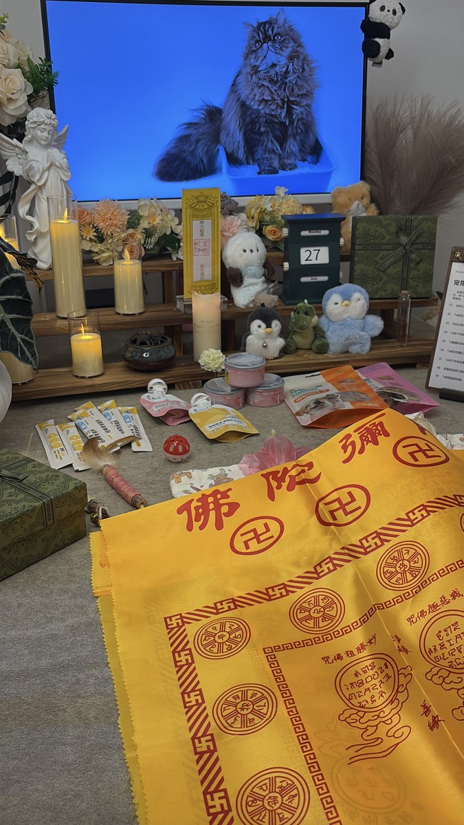 成都宠物殡葬服务实拍
