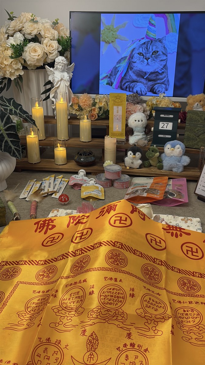 成都宠物殡葬服务实拍