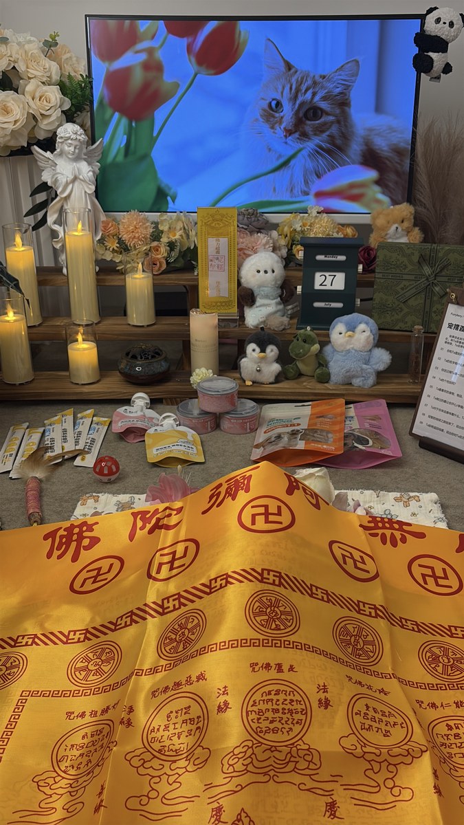 成都宠物殡葬服务实拍