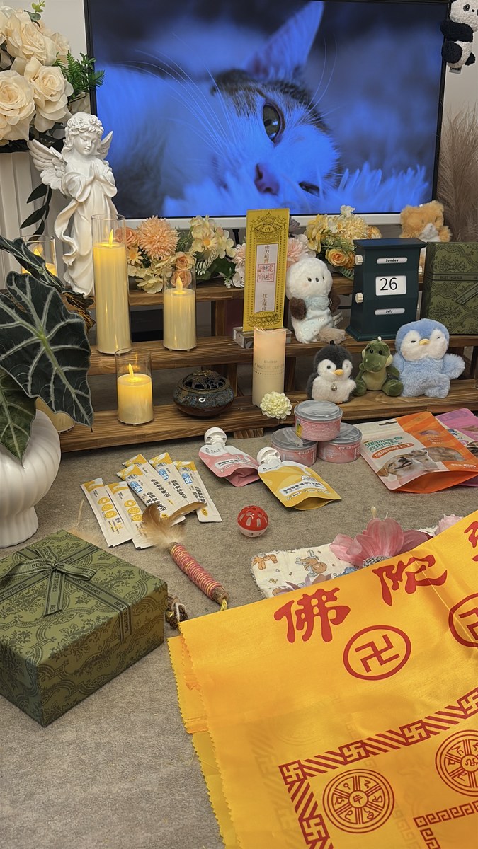 成都宠物殡葬服务实拍