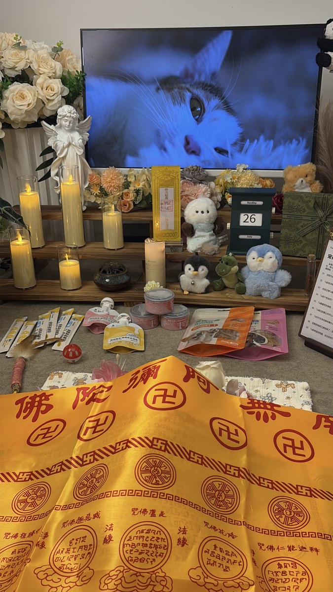 成都宠物殡葬服务实拍